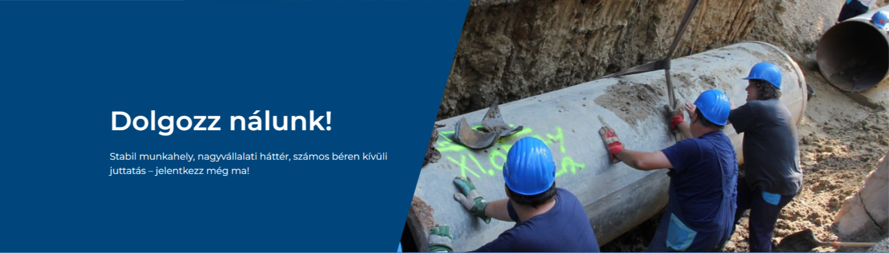 https://workly.hu/wp-content/uploads/wpjobboard/company/53/wrk-comp-hero/fovarosi_vizmuvek-1.png